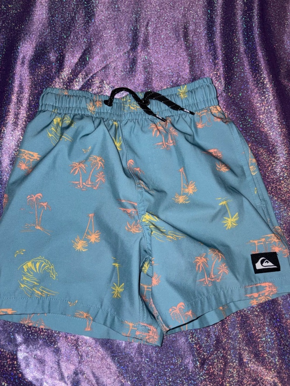 Boys QuickSilver Swim Trunks